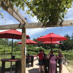 View of the patio from underneath the shade at the check in desk/payment counter