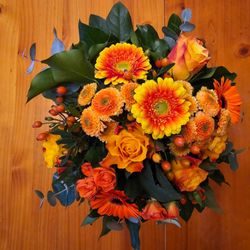 Blumen Noll