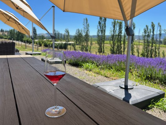 Analemma Wines by null