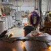 Bugnutty Brewing Company gift card