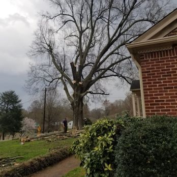 All Natural Tree Service - Tree Services Near Me