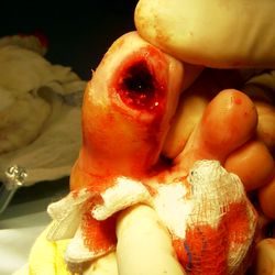 The Podiatry Clinic, PA