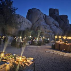 Joshua Tree Excursions - Corporate groups