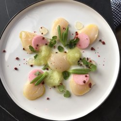 No 35 - Scallop ceviche