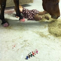 Naples Equine - The 4 year old girl thought this Mare could use a pedicure