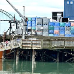 Chelsea Rose Seafood - Ramp going to Chelsea