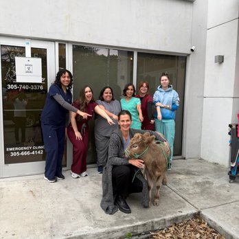 Miami Veterinary Dermatology - Veterinarians Near Me - South Miami, Florida Miami Veterinary Dermatology - Veterinarians Near Me - South Miami, Florida