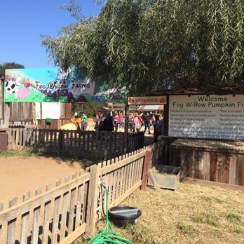 Fog Willow Farms - Entrance and prices - Attraction Farms Near Me - Wilton, California Fog Willow Farms - Entrance and prices - Attraction Farms Near Me - Wilton, California