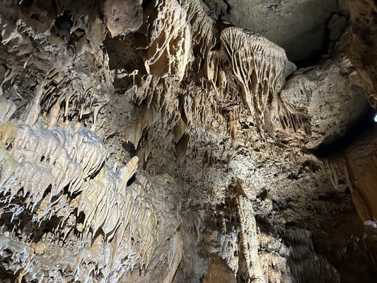 Natural Bridge Caverns by null