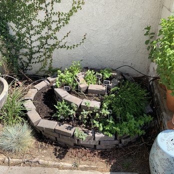 Nick House Gardening - Rustic Herb spiral just growing in - Thank you Nick!!! - Gardeners Near Me - Los Angeles, California Nick House Gardening - Rustic Herb spiral just growing in - Thank you Nick!!! - Gardeners Near Me - Los Angeles, California