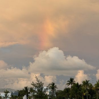 Island Fish - Nothing better than being guided by a colorful rainbow to your dinner destination! - Seafood Near Me - Marathon, Florida