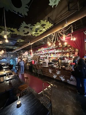 Wonderwood Springs by null Wonderwood Springs by null