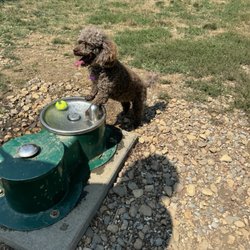 Smithland Road Dog Park - Water fountain