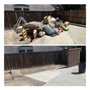 Photo of Mid Valley Waste Removal
