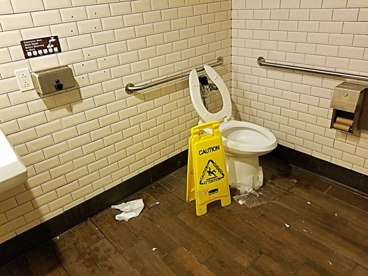 Starbucks Coffee Company by null