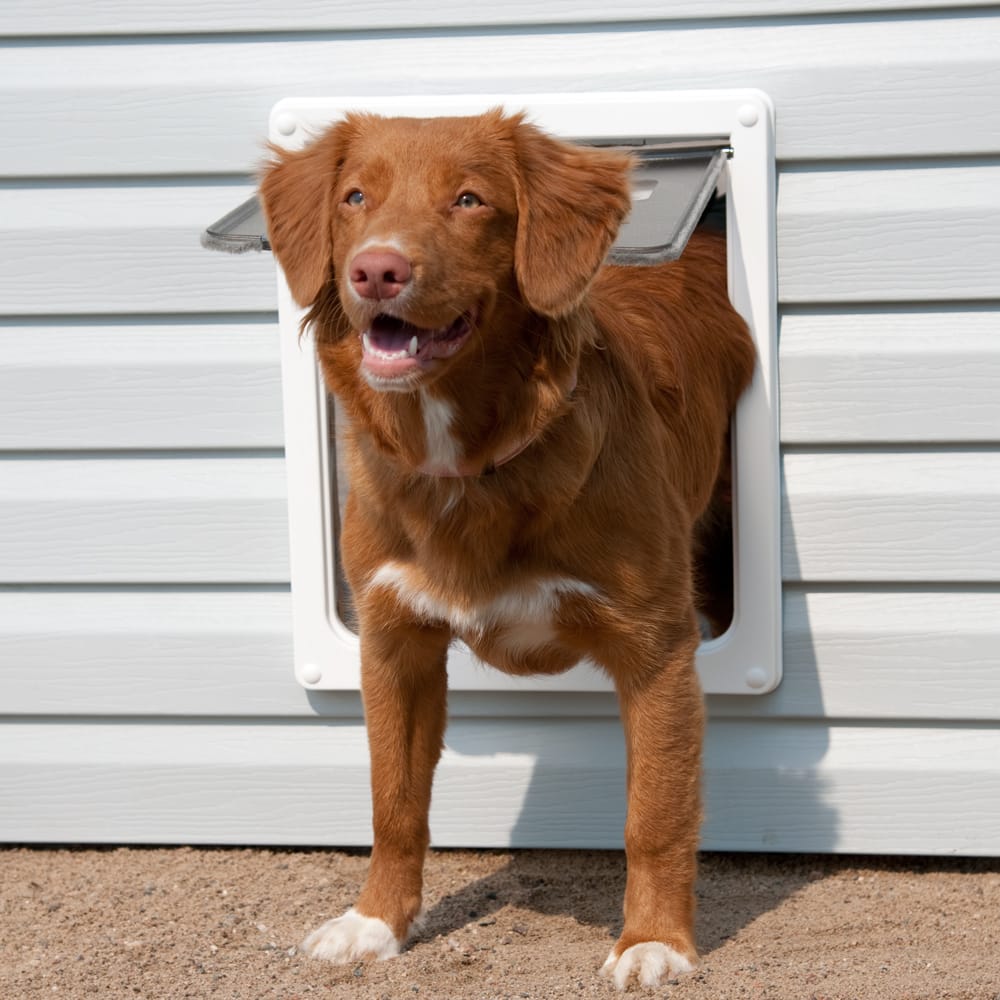 Slide of Handyman in Hemet