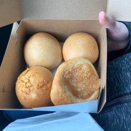 Kolache Kolache