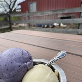 Spotted Duck - Dining area - Ice Cream & Frozen Yogurt Near Me - Penn Yan, New York