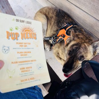 OB Surf Lodge - Pup menu - Breakfast & Brunch Near Me - San Diego, California OB Surf Lodge - Pup menu - Breakfast & Brunch Near Me - San Diego, California