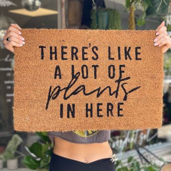 Verdant Sol - Plants, plant accessories, plant care, and more! - Home Decor Near Me - McHenry, Illinois
