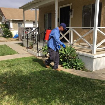 Carpinteria Valley Exterminating - Ant treatment - Pest Control Near Me Carpinteria Valley Exterminating - Ant treatment - Pest Control Near Me