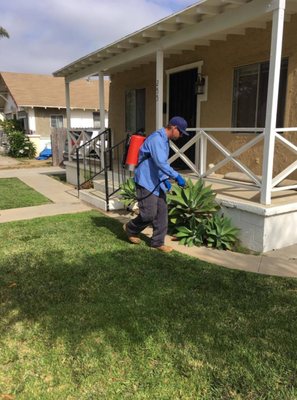 Professional Rodent Abatement - We specialize in professional and safe rodent abatement! We will provide you with an individualized plan to take care of the problem and make sure that you get on going service to prevent further issues! Please call us to schedule service! Professional Rodent Abatement - We specialize in professional and safe rodent abatement! We will provide you with an individualized plan to take care of the problem and make sure that you get on going service to prevent further issues! Please call us to schedule service!