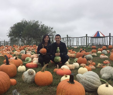 Garden of Eve Organic Farm by null