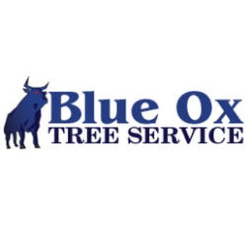 Blue Ox Tree Service - Tree Services Near Me - Safety Harbor, Florida Blue Ox Tree Service - Tree Services Near Me - Safety Harbor, Florida