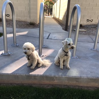 Fancy Fur 'n Purr - Not speaking - Pet Groomers Near Me - Chandler, Arizona