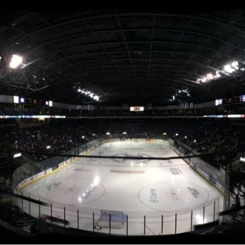 Bridgeport Sound Tigers - Great view from the barstool section - Professional Sports Teams Near Me - Bridgeport, Connecticut Bridgeport Sound Tigers - Great view from the barstool section - Professional Sports Teams Near Me - Bridgeport, Connecticut