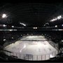Photo of Bridgeport Sound Tigers