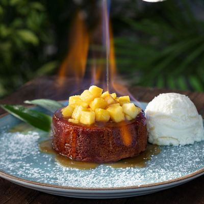 Bahama Breeze by null