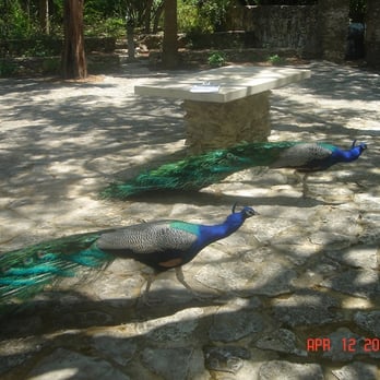 Mayfield Park - Parks Near Me - Austin, Texas Mayfield Park - Parks Near Me - Austin, Texas