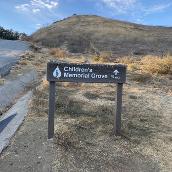 Children's Memorial Grove - Parks Near Me - Castro Valley, California Children's Memorial Grove - Parks Near Me - Castro Valley, California