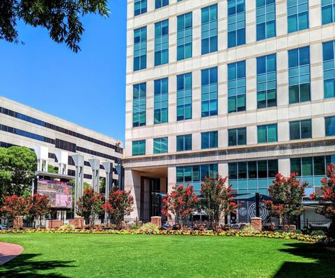 Market On Main by null