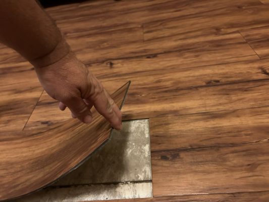 Ayres Hotel Manhattan Beach/Hawthorne by null