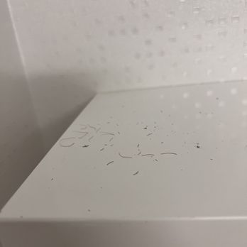 Hampton Inn & Suites Mountain View - Pubic hair on the counter - Hotels Near Me - Mountain View, California Hampton Inn & Suites Mountain View - Pubic hair on the counter - Hotels Near Me - Mountain View, California