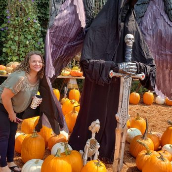 Post Street Farm - Pumpkin Patches Near Me - Santa Cruz, California