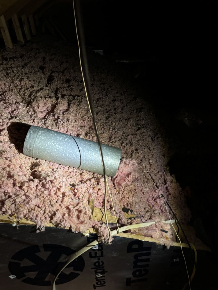 Slide of Byrd On The Roof