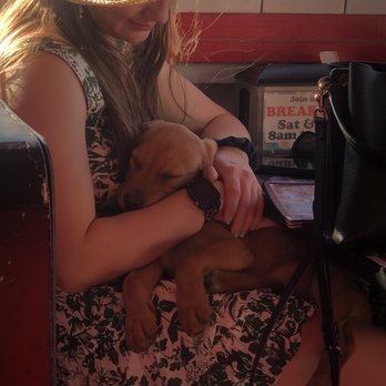 Mad Madeline's Grill - Cute little puppies in the restaurant - Burgers Near Me - Temecula, California