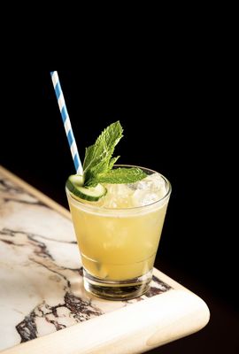 The Little Friend by null