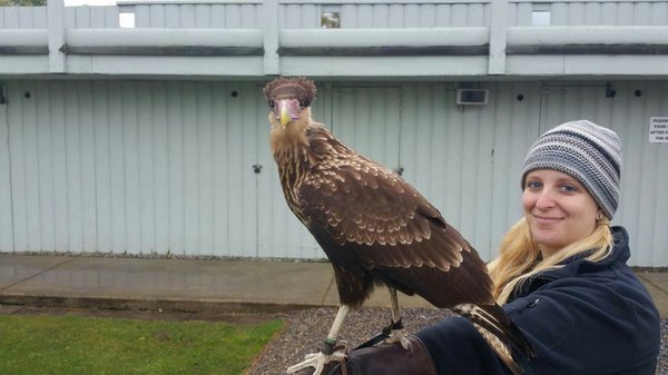 Aillwee Burren Experience by null