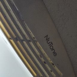 Mold in the bathroom air vent