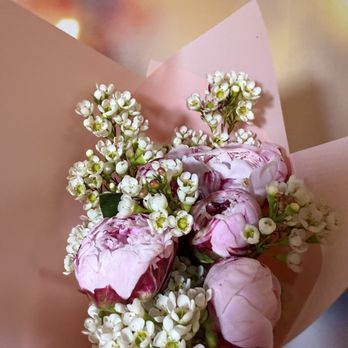 Wild About Flowers - PEONIES - Floral Designers Near Me - Dallas, Texas Wild About Flowers - PEONIES - Floral Designers Near Me - Dallas, Texas