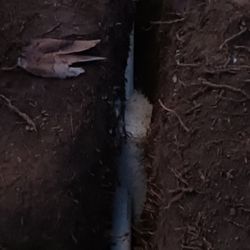 Hf drain and gutter cleaning services