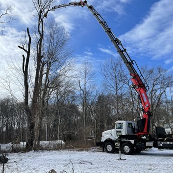 Rana Tree Removal - Tree Services Near Me Rana Tree Removal - Tree Services Near Me