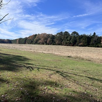 Gaines' Mill Battlefield - Glendale- saved by the trust - Hiking Near Me - Mechanicsville, Virginia