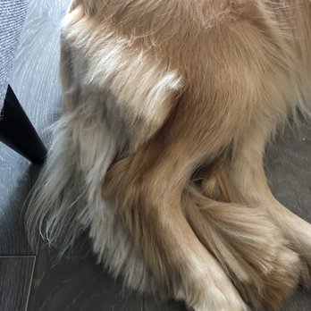 Petco - Pet Stores Near Me - San Mateo, California