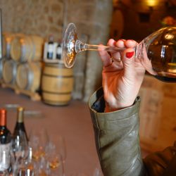 Rioja Wine Trips - Tasting diverse styles at the Winery Hopping tour