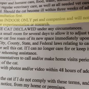 Save a Purrfect Cat Rescue - Contract rules for Indoor cat only (nothing about a harness/leash not allowed. It may have been spoken but I had forgotten) - Animal Shelters Near Me - Houston, Texas Save a Purrfect Cat Rescue - Contract rules for Indoor cat only (nothing about a harness/leash not allowed. It may have been spoken but I had forgotten) - Animal Shelters Near Me - Houston, Texas